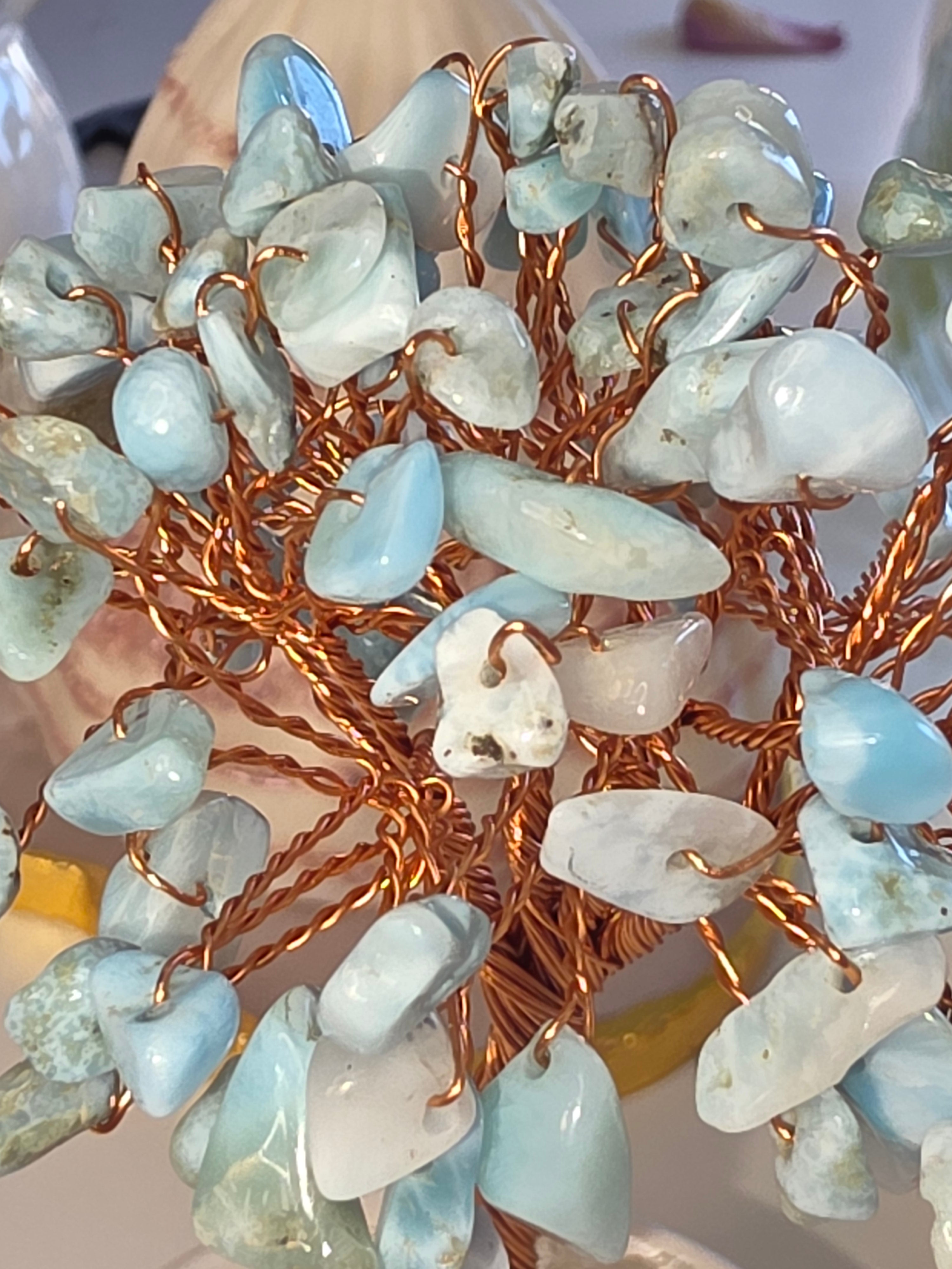 Larimar Baum